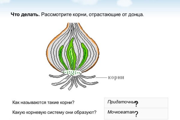 Как открыть кракен